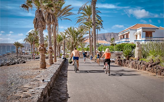 Tenerife Adeje coast